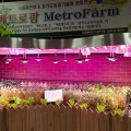 Metro Farm à Séoul