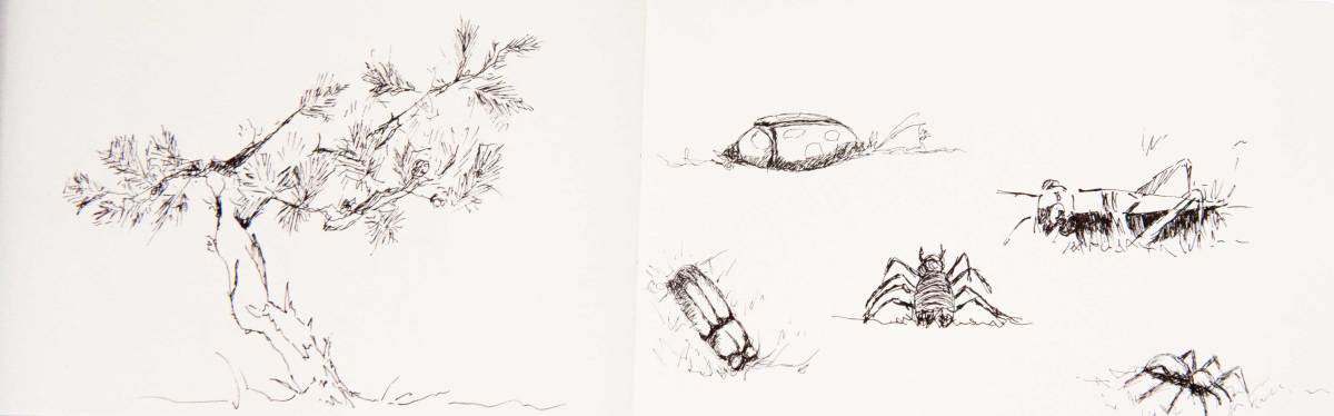 Croquis au rotring sur carnet de voyages Moleskine - Hassla Park