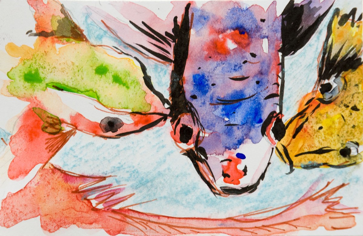 Croquis rapide sur carte de visite de koï au jardin botanique de Yeomiji - aqaurelles coréenne ShinHan et encre de chine.